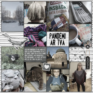 January 15 Year In Review - Pandemic Year Two