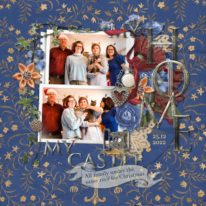 221225_castle