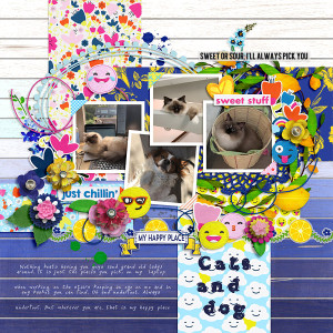 Cats and dog