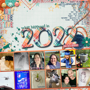 2022 In Review