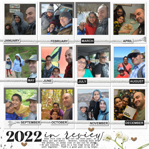 Jan-15---Year-in-Review