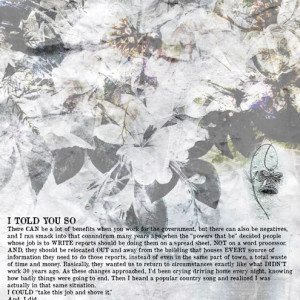14.-I-TOLD-YOU-SO