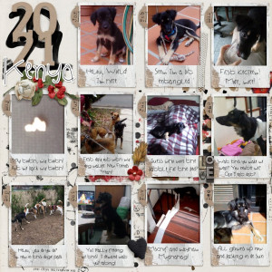 MOC-11-15-January-Year-in-Review