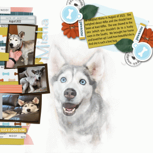 Misha-adoption-page-1