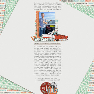 MOC11 - day 14 Student Driver