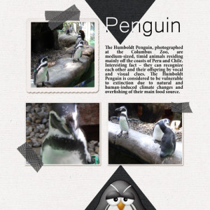 January-16---Combine-Two-Templates---Penguin