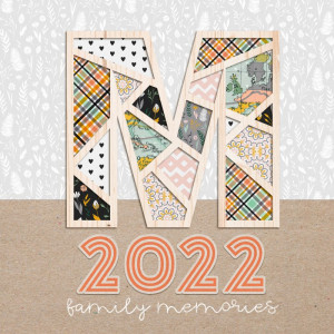 Jan11_AlbumCover