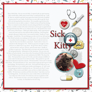 Bob-gets-sick