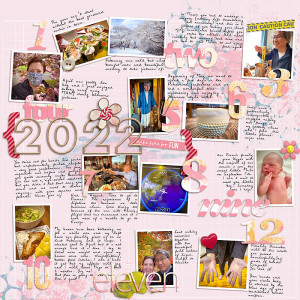 2022-year-in-review-copy800