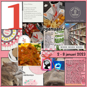 January 16 Combine 2 Templates - Project 52 2023 Week 1