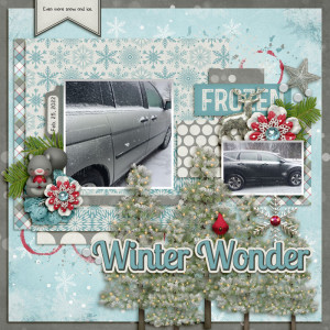 Winter Wonder