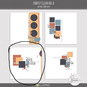 Soco_SimplyCleanNo11_pv