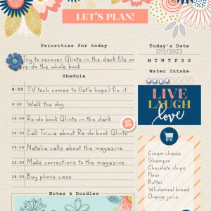 MOC-11-17--January-Document-Your-Day