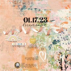 Jan 17 - Document Your Day