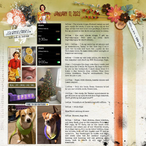 MOCDay 17 Document My Day
