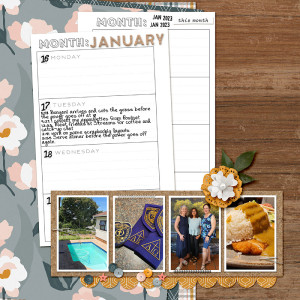 Diary 17th January 2023