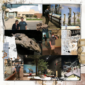 Rocky Mountain Museum