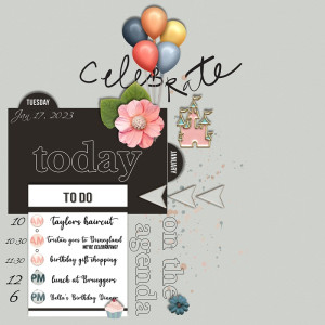 MOC 11- Jan 17 Document Your Day
