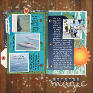 manatee magic