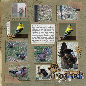 MOC11 - January 5 multiple photos