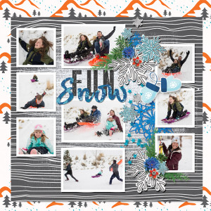 Snow Fun
