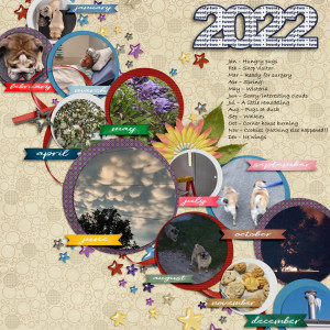 January-15-2022yir