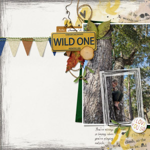Wild One (MOC 11 -Blind Scrap)