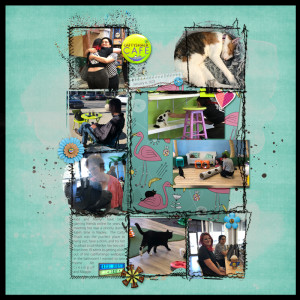 Jan-16---Combine-Two-Templates---Cattyshack-Cafe