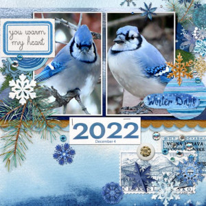 2023-MOC-23_Filled-Template_web