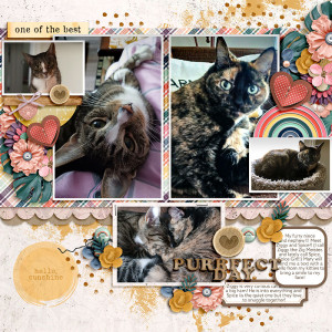 Purrfect Day (MOC11 Day 23 Filled Template)