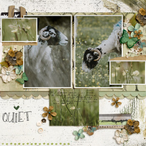 Quiet