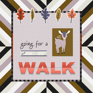 MOC 11 JAN Going for a Walk