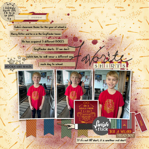 MOC D22 Gryffindor Everyday