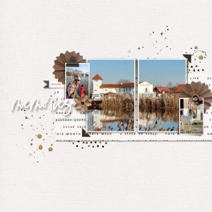 MOC11_January23_Filled Template - Memories