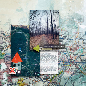AtHomeAmongstTheTrees