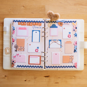 February Goals -- Planner Hybrid