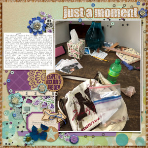 Jan-27----My-Life-in-a-Still-Life---Just-a-Moment