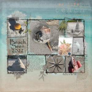 Jan-12---Happy-Page---Beach-Seen-2022