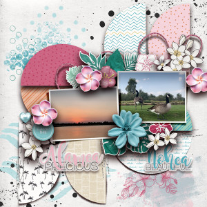 LO538-LoveLake
