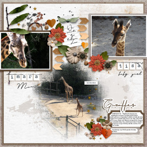 Giraffes (Feb Temp Chall)