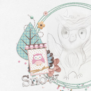 Snow the Owl