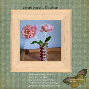 Moc-23--Still-life