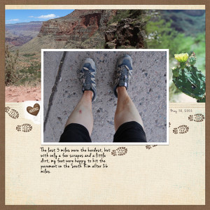 MOC D29 South Rim