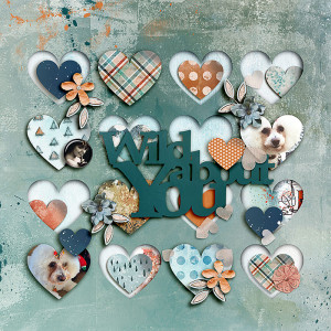 SOSN_feb1_LG_Soco_Wild About You