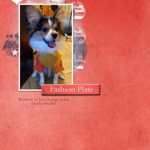 January-30---Clean-&-Simple---Fashion-Plate