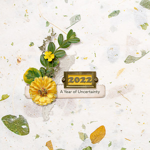 Day 11 - Cover - 2022