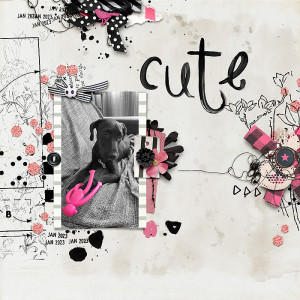 Jan 19 : Color Pop (cute)