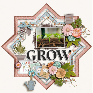 BYOC_3-23_Soco_FDD_Grow