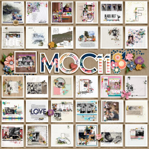 MOC11_Collage