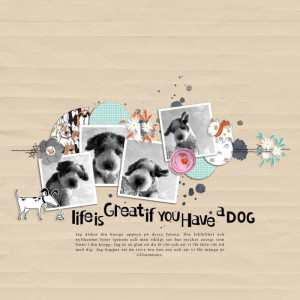 Have a dog!